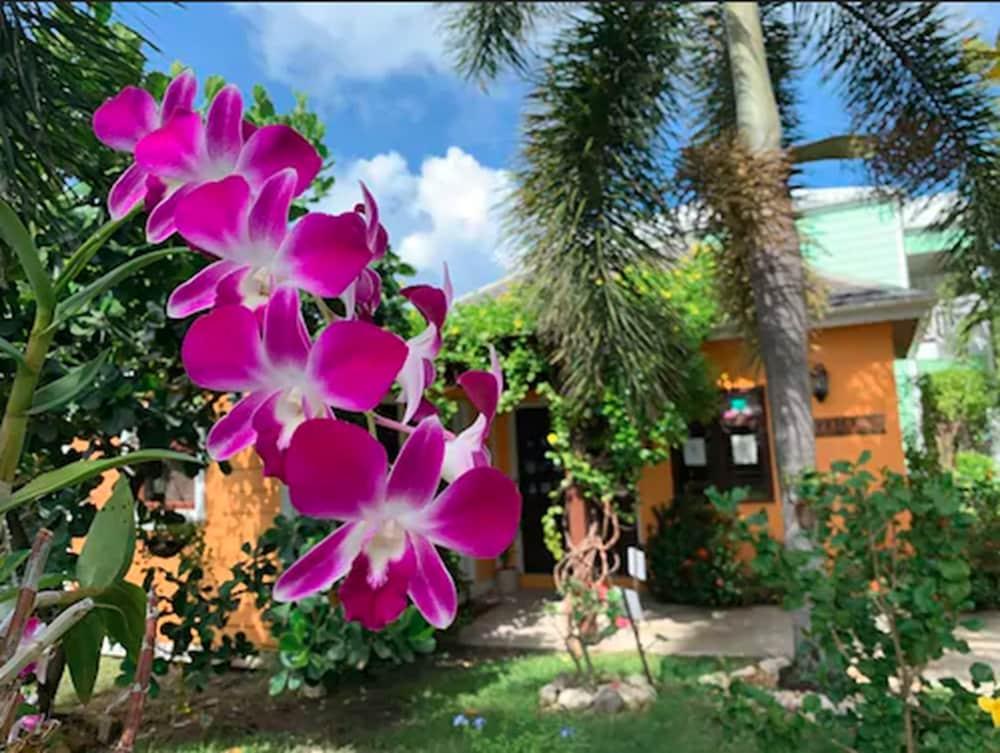 Buccaneer Beach Club Dickenson Bay Dış mekan fotoğraf