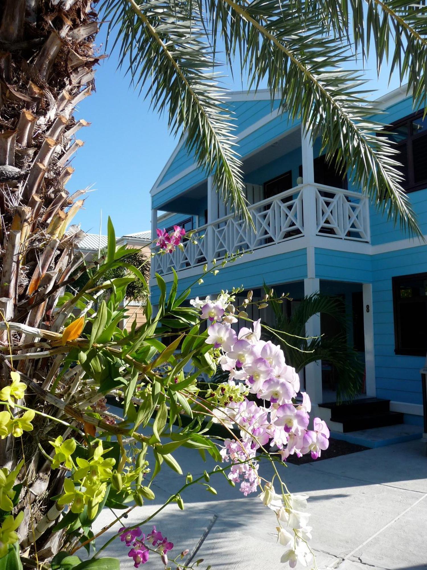 Buccaneer Beach Club Dickenson Bay Dış mekan fotoğraf