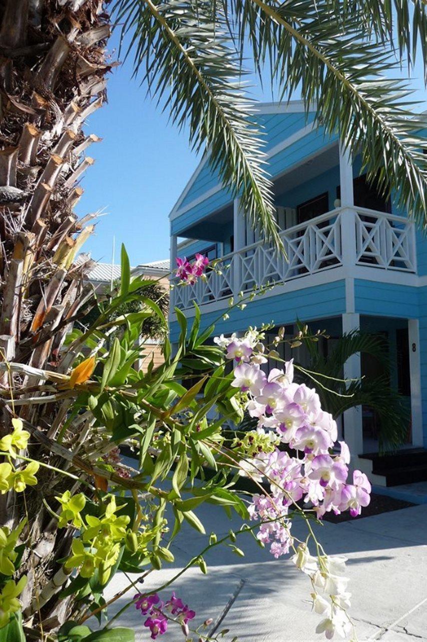 Buccaneer Beach Club Dickenson Bay Dış mekan fotoğraf