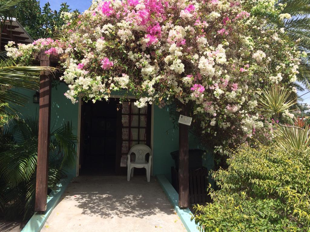 Buccaneer Beach Club Dickenson Bay Dış mekan fotoğraf