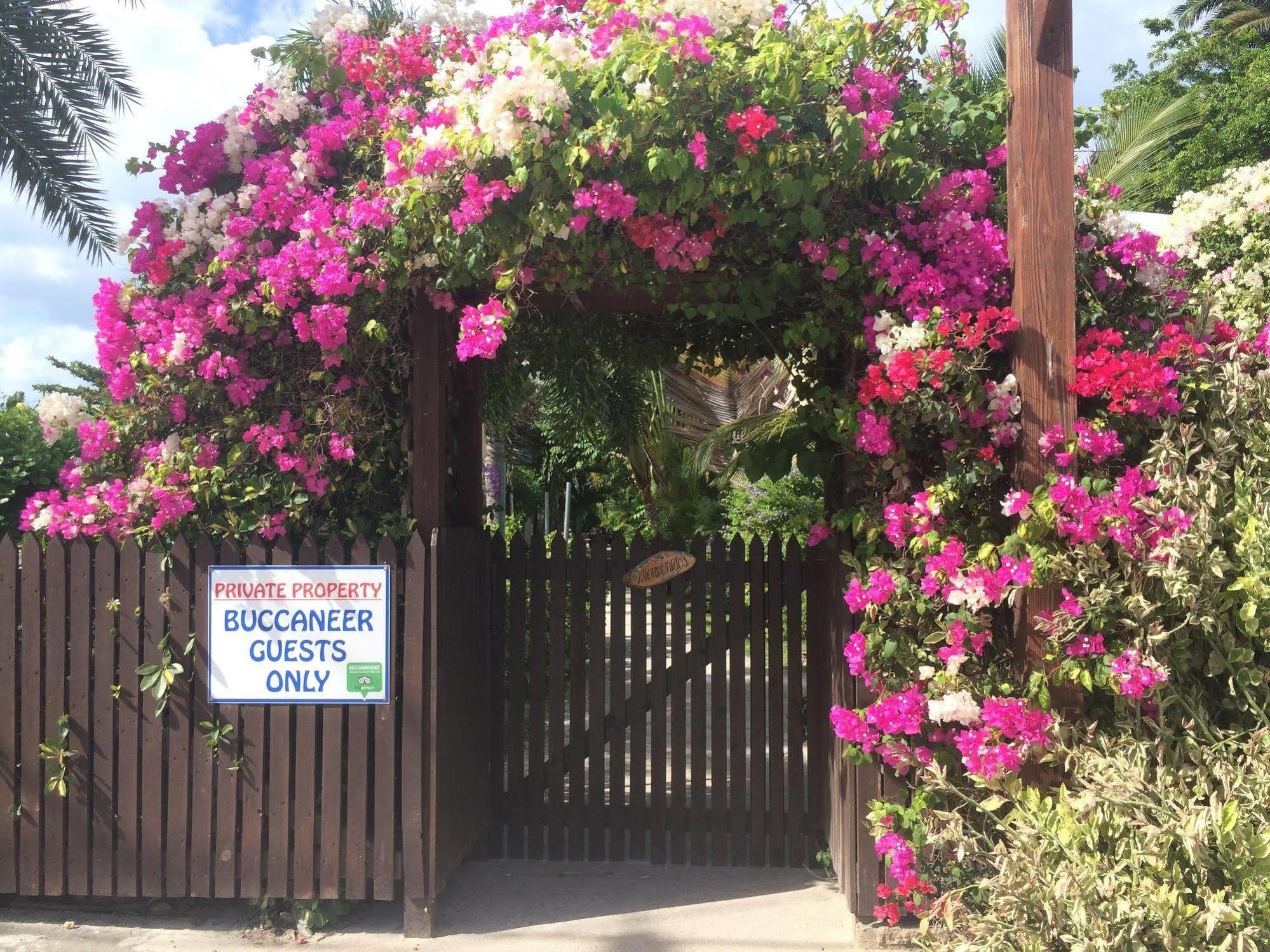 Buccaneer Beach Club Dickenson Bay Dış mekan fotoğraf